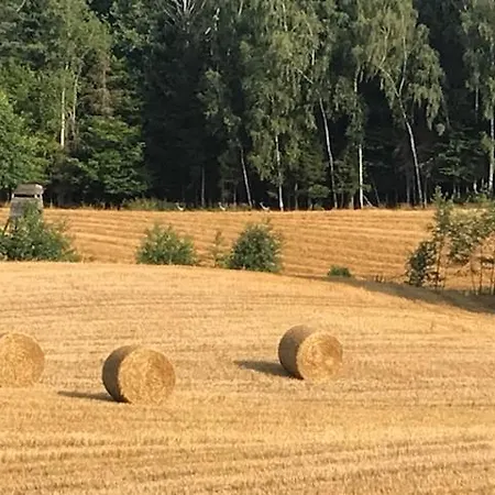 Damhills Apartman Bronowko