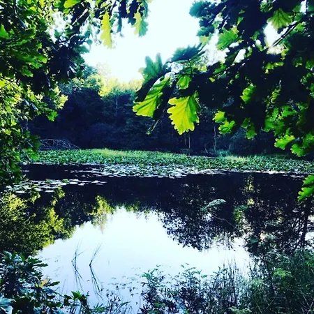 Apartman Damhills Bronowko