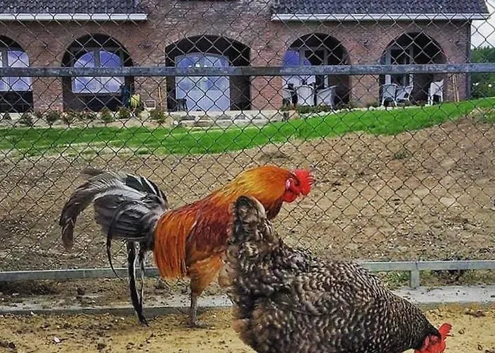 Damhills Lägenhet *