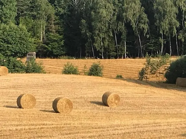 Damhills Lägenhet Bronowko