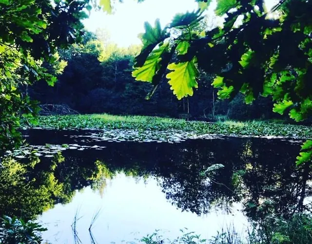 Lägenhet Damhills Bronowko