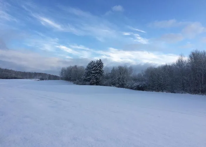 Lägenhet Damhills *